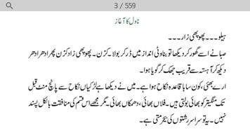 13 Urdu Novels by Riffat Siraj - Offline imagem de tela 2