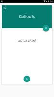 English Arabic Dictionary Screenshot 3