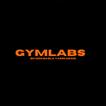 Gym Labs icon