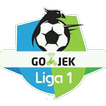 Liga Indonesia