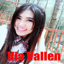 Via Vallen - Sayang New Mp3 APK