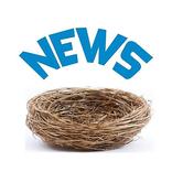 NewsNest - News, Jobs, JKNews, SSB, PSC etc