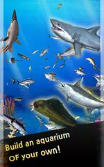 Fishing Time:Season2 APK download