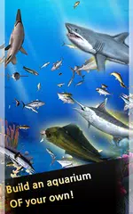 Fishing Time:Season2 APK download