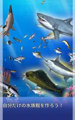 フィッシングタイム:Season2 アプリダウンロード