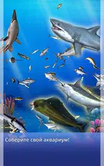 Скачать Fishing Time:Season2 APK