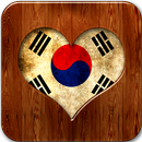 Practical Dictionary of Korea APK