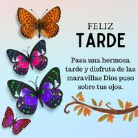 Frases de Buenos Días تصوير الشاشة 3