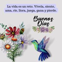 Frases de Buenos Días تصوير الشاشة 1