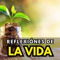 Reflexiones De La Vida