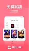 瘋狂小說 الملصق