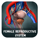 Reproduksi Wanita sistem APK