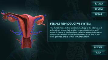 Female Reproduction system 3D 截圖 1