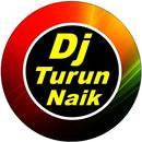 Dj Turun Naik Goyang Terus APK