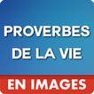 Proverbes De La Vie En Images