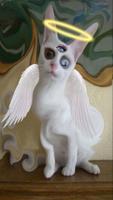Dreamcore Weirdcore Wallpapers اسکرین شاٹ 3