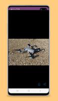 eachine e520s guide poster