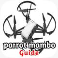 parrot mambo guide