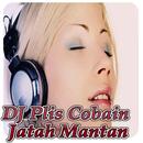 DJ Pliss Cobain Jatah Mantan Full Bass Offline APK