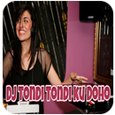 DJ Tondi Tondi Ku Doho Full Bass Offline APK