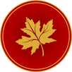 My Kashmir APK