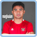 Timnas Indonesia