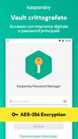 Poster Kaspersky Password Manager