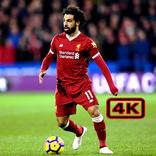 Liverpool FC Fans Wallpapers