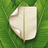 Planner: Notes, Todo, Calendar APK