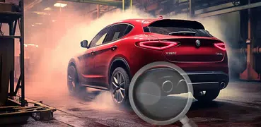 ДПФ Монитор -Fiat и Alfa Romeo