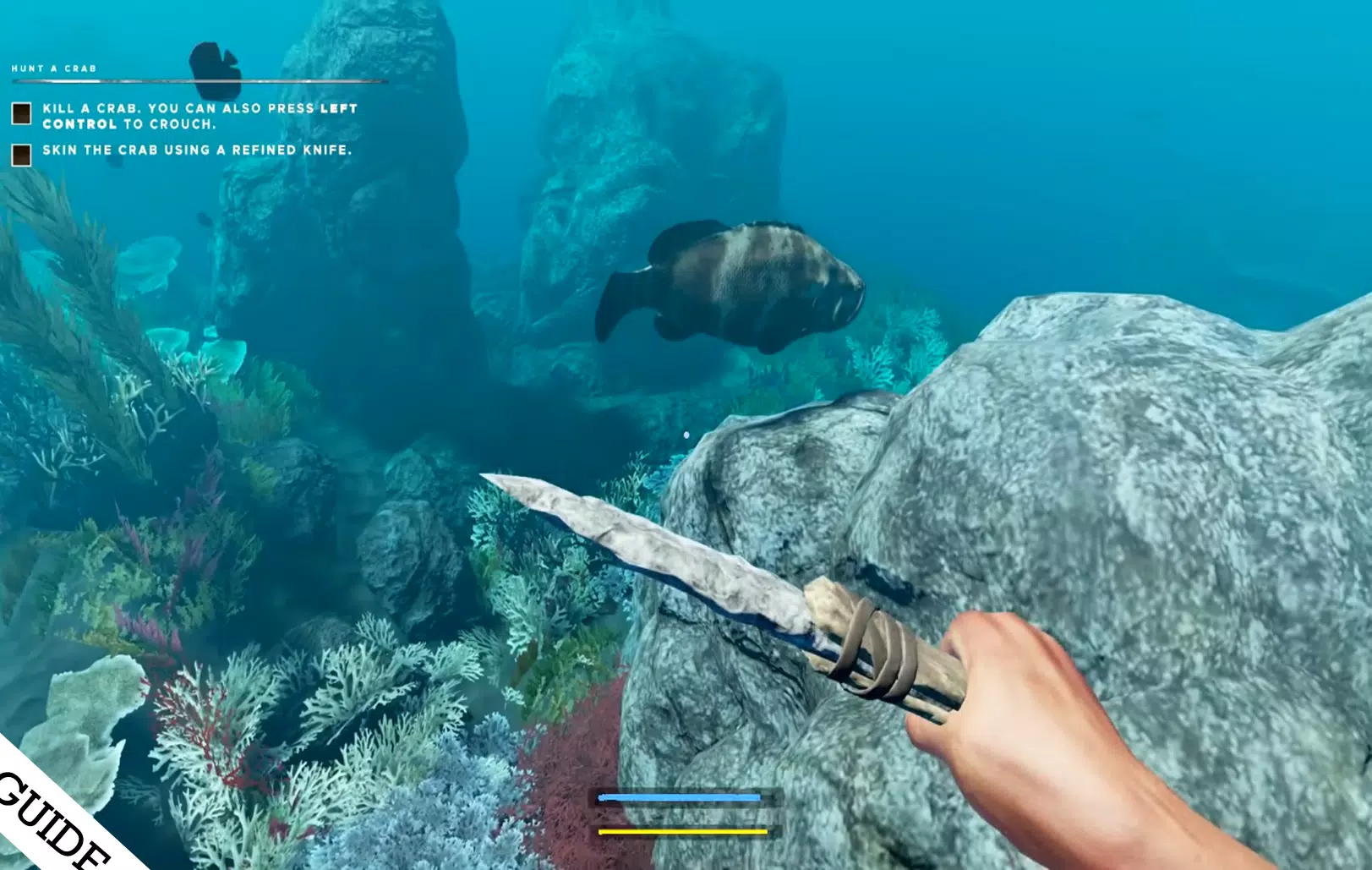 Stranded Deep: How To Get Clay