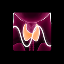 Thyroid Function Meter aplikacja
