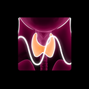 Thyroid Function Meter APK