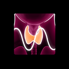 Thyroid Function Meter ikon