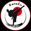 Learn shotokan karate