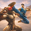 Karate Fight -Kung fu fighting icon