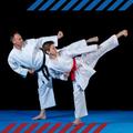 Karate Training Guide