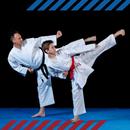 APK Karate Training Guide