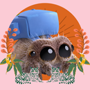 Lucas Spider Puzzle Game APK