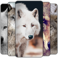 Wolf Wallpaper