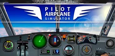 Pilota Aereo simulatore 3D