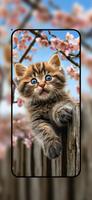 Cute Kitten Wallpapers imagem de tela 3