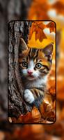 Cute Kitten Wallpapers imagem de tela 1