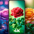 Rose Wallpapers - Flower APK