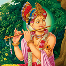 Meditation Music Swaminarayan-APK