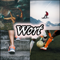 4 Bilder 1 Wort