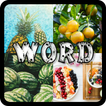 4 Pics 1 Word Game 2022