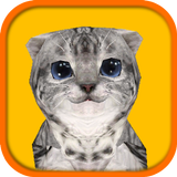 Cat Simulator أيقونة
