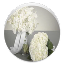 Bridal bouquets APK