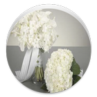 Bouquets de mariée icône